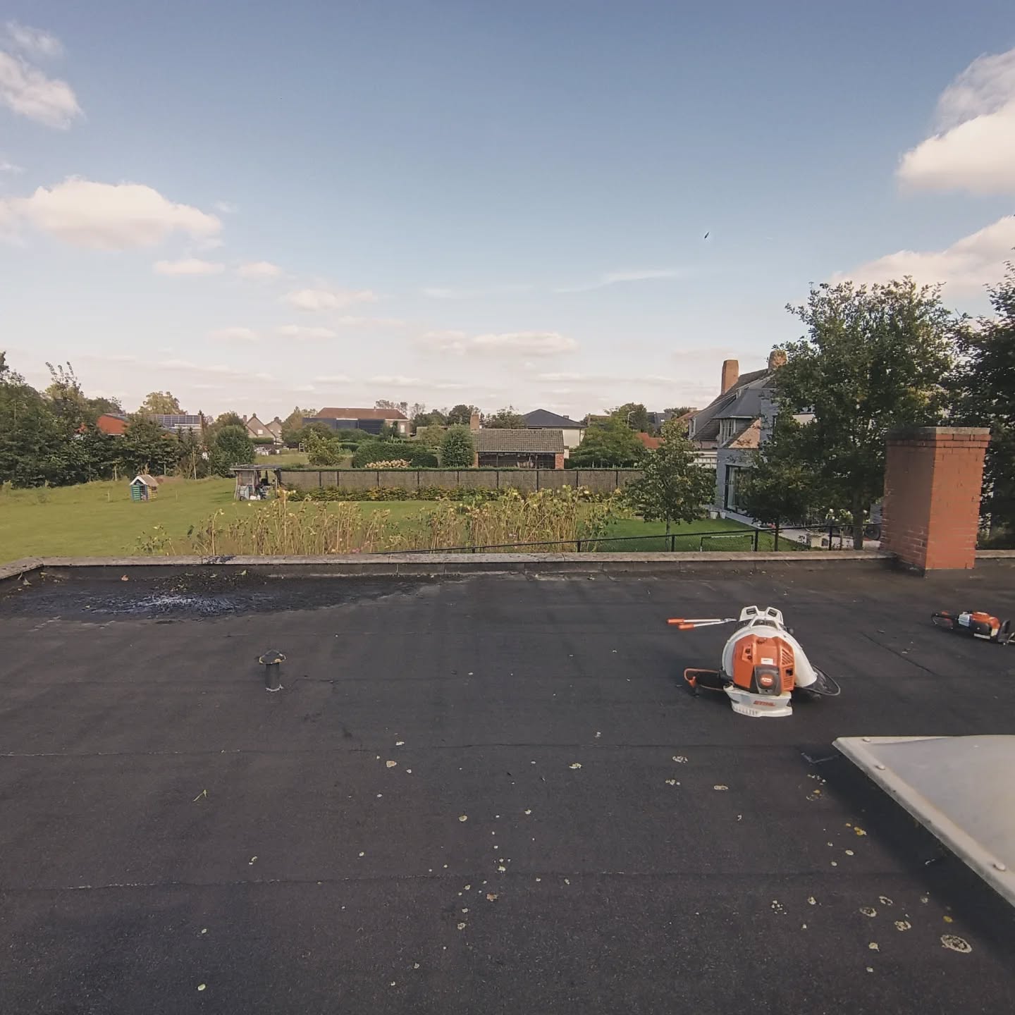 Verwijderen van klimop - Na